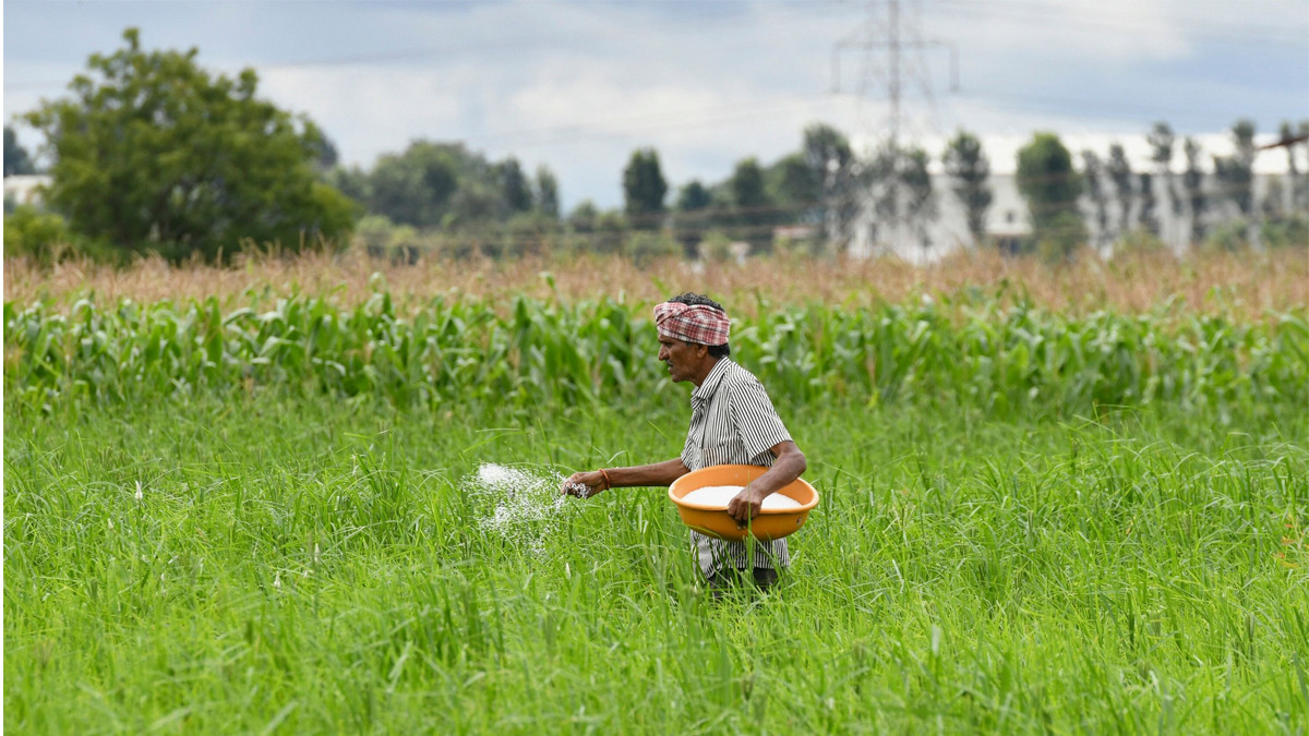 Imported chemical fertilizers being supplied to different districts