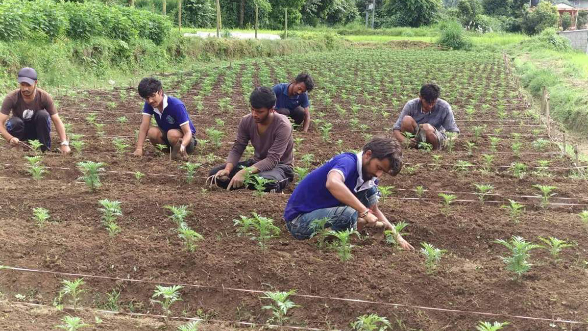 Students attracted to study agriculture