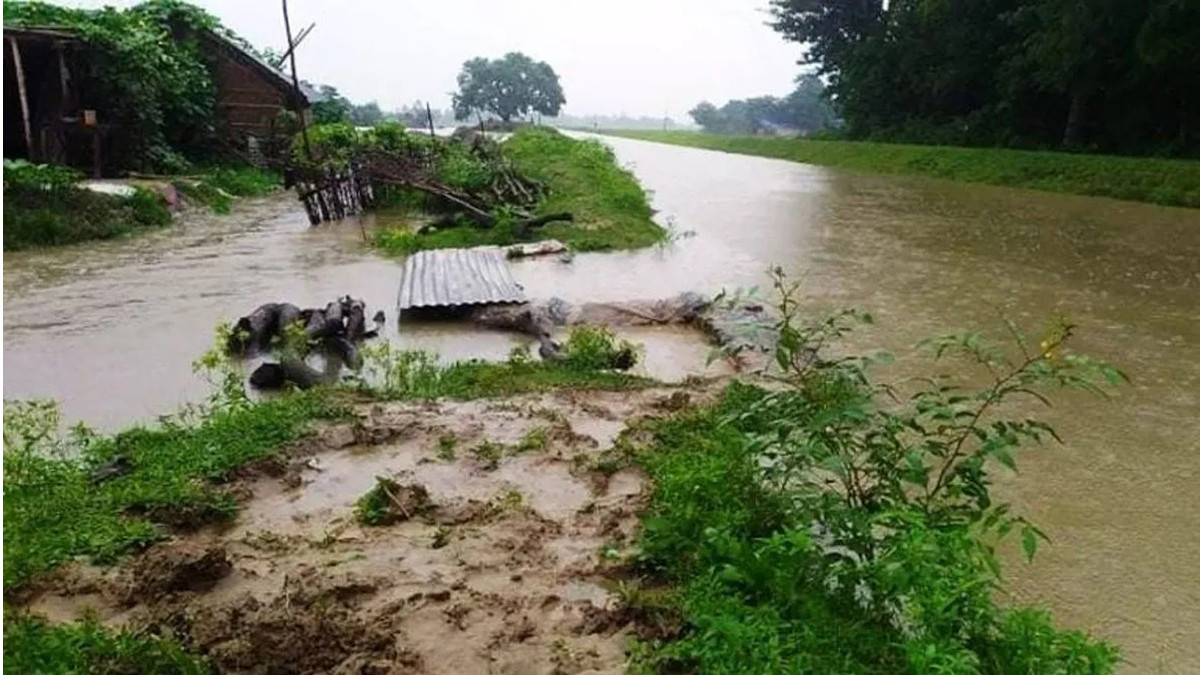 Saptakoshi Municipality-4 inundated due to collapse of Chandra Canal