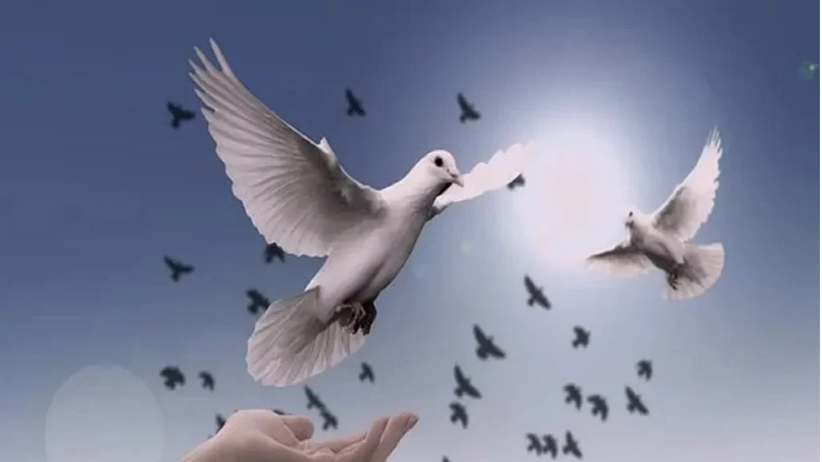 International Day of Peace being observed today