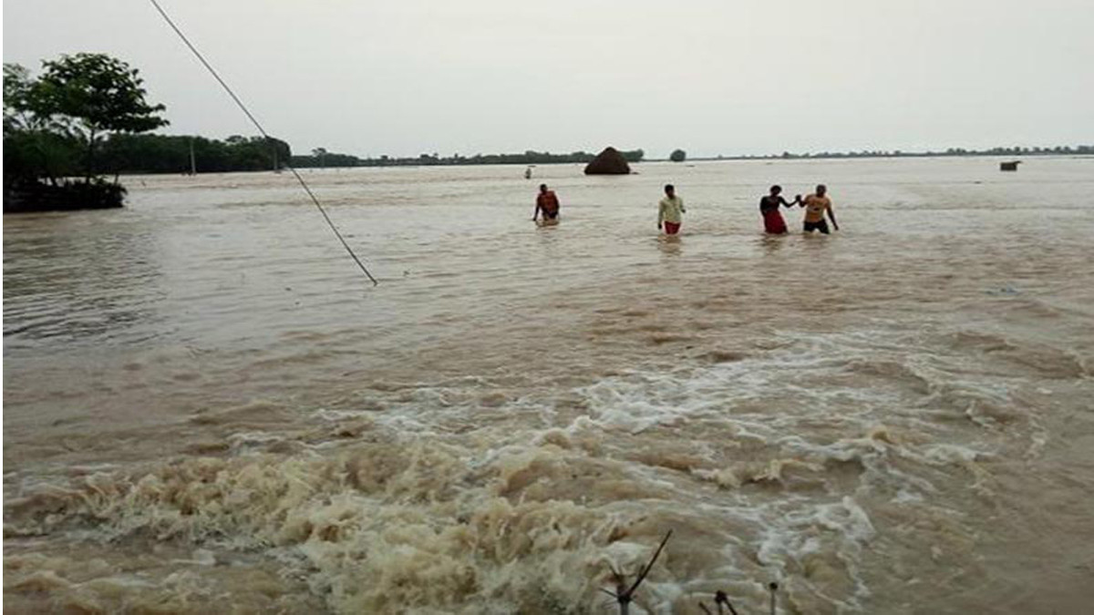 Saptakoshi flood enters settlements,  Around 2,500 families affected ,1500 families displaced