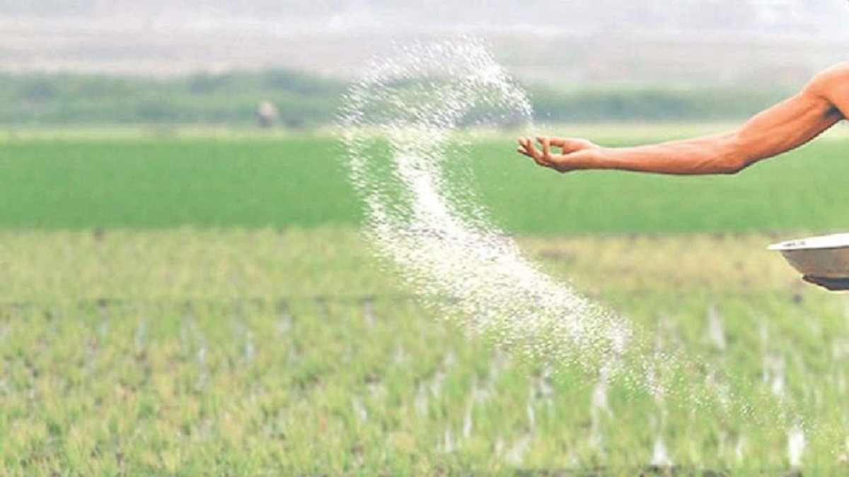 India to provide much needed Urea and DAP for Nepal