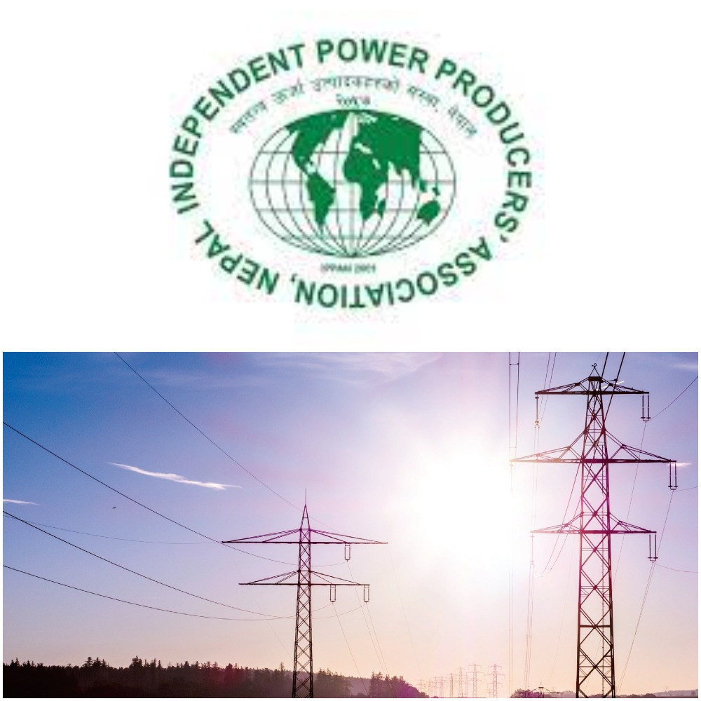 IPPAN welcomed decision to trade electricity with Bangladesh