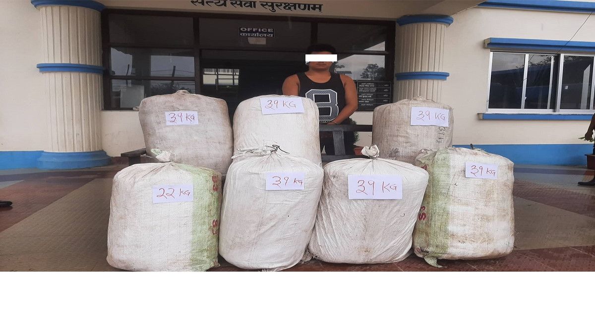 1 arrested with 200 kg of marijuana from Sunsari