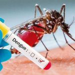 Dengue cases surpass 11 thousand in Bagmati