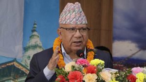 Existing political alliance for achieving stability: leader Nepal