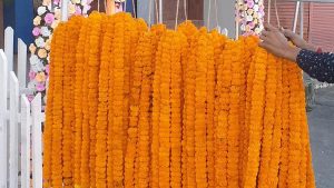 Scarcity of flowers and garlands during Tihar