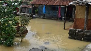 700 families displaced due to flood in Tikapur