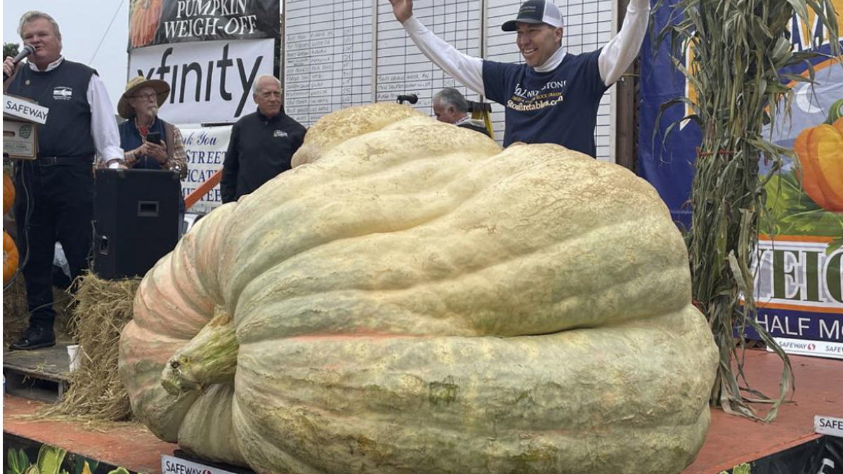 2,560-pound pumpkin wins California contest