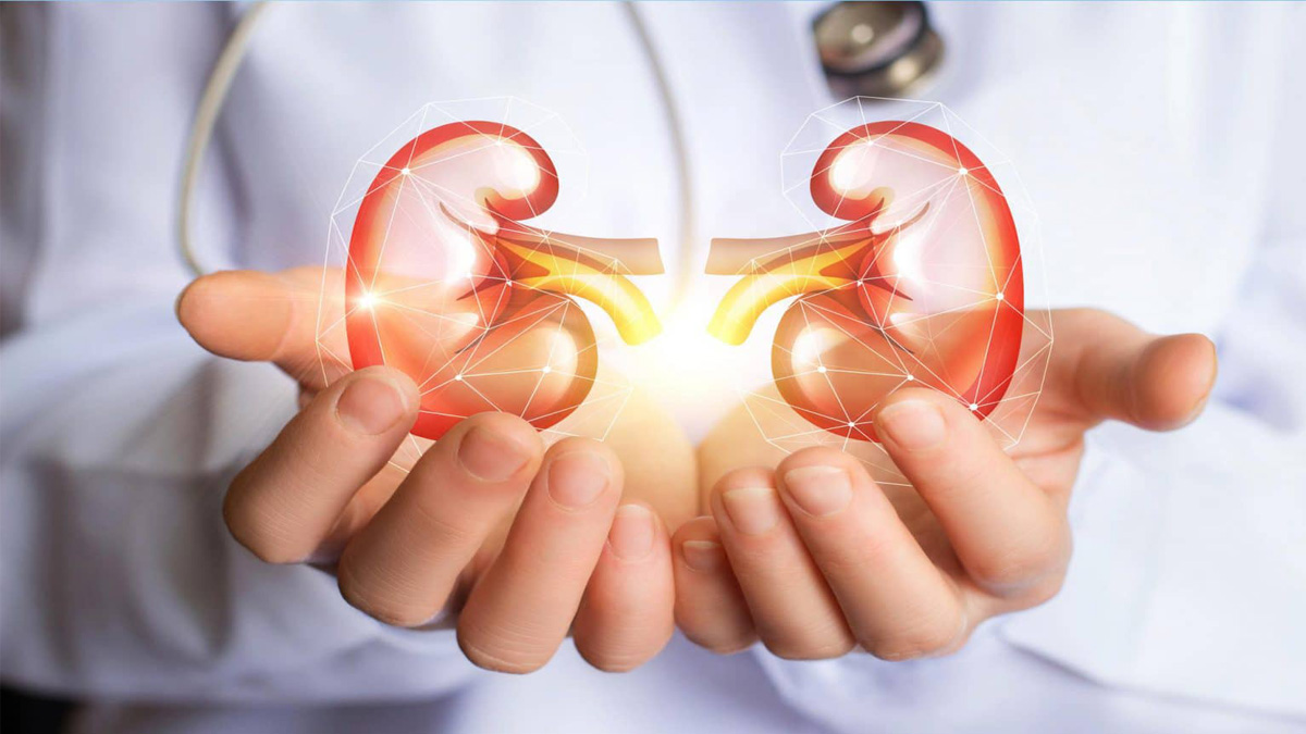 Human Organ Transplant Centre conducts 1,200 kidney transplants in 11 years