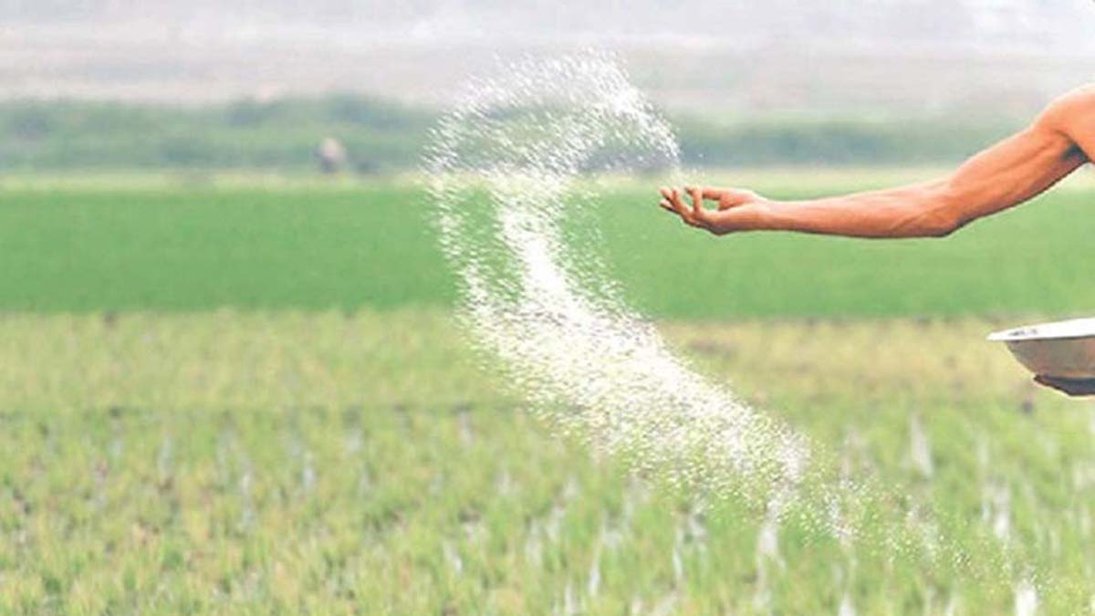 One year of government: Supply chain of chemical fertilisers eased