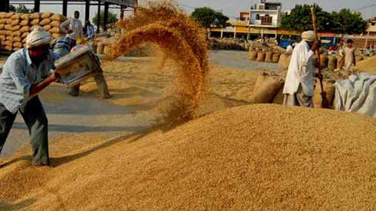 Government fixes minimum support price of rice