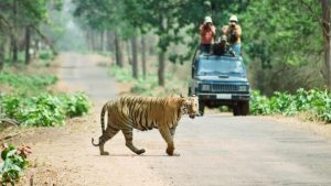 Buffer zone people demand safety from wildlife