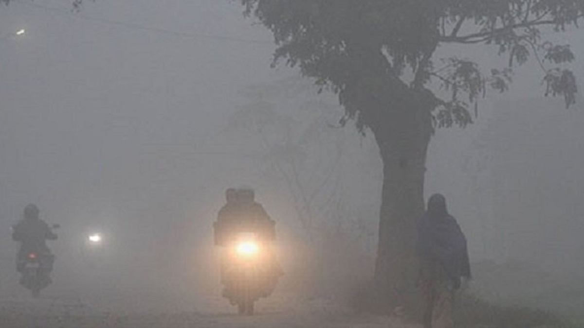 Cold wave, thick fog affects daily life in Tarai