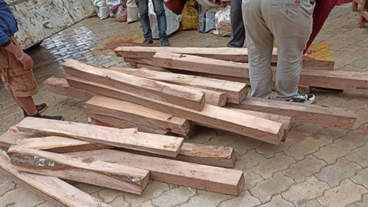 Dhankuta exports timber worth more than 500 million