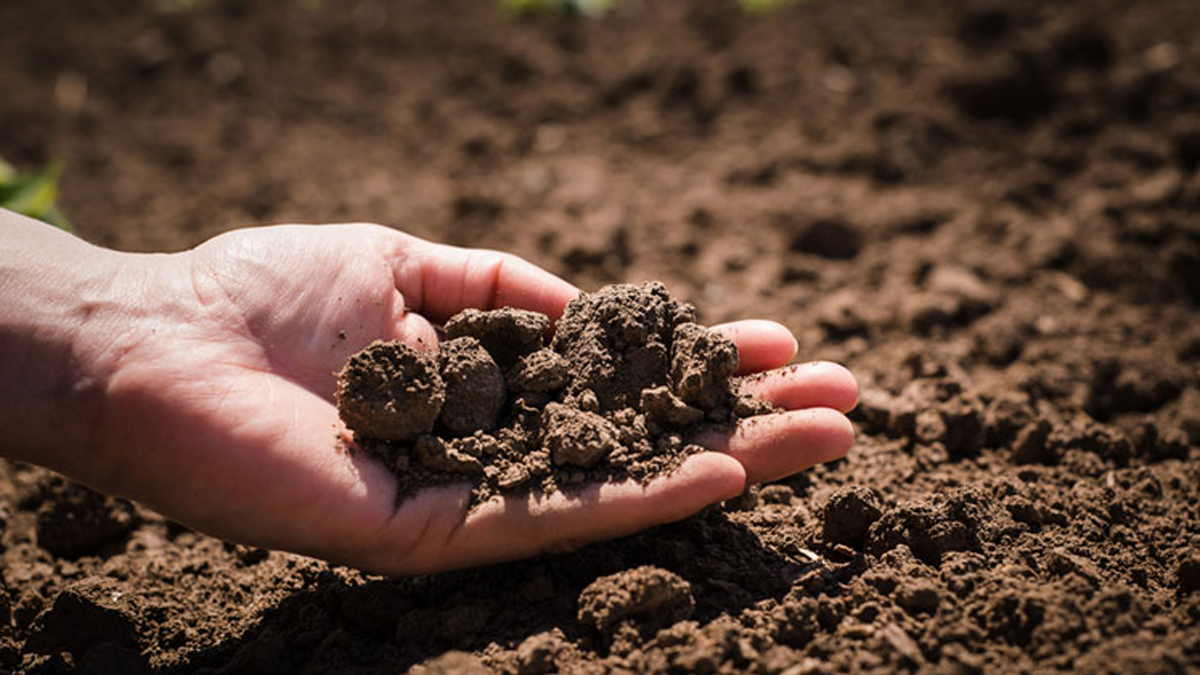 Ninth World Soil Day being observed today