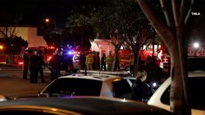 Nine killed in mass shooting in Los Angeles area