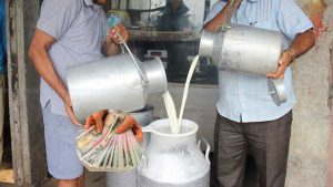 Farmers demand increase in milk price