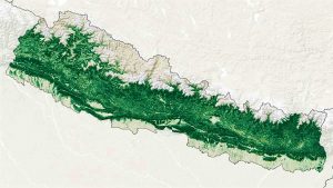 How Nepal Regenerated Its Forest?