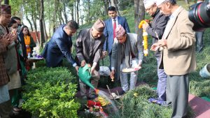 President Paudel plants saplings in Bankali