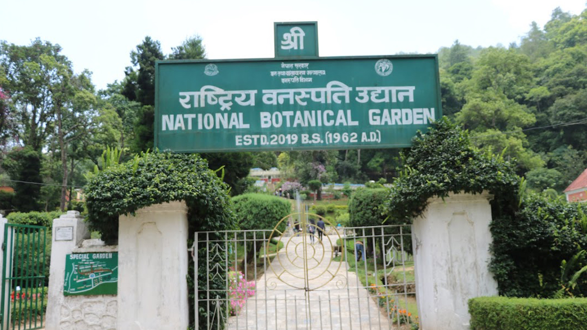 National Botanical Garden sees surge in visitors’ number post pandemic