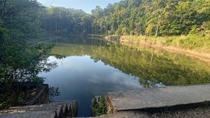 Charinge lake in Ghorahi gaining popularity