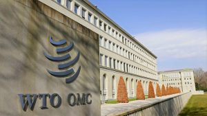 WTO must contribute solutions to global economic challenges: DG