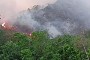 Fire destroys 70 hectares of forest area in Myagdi
