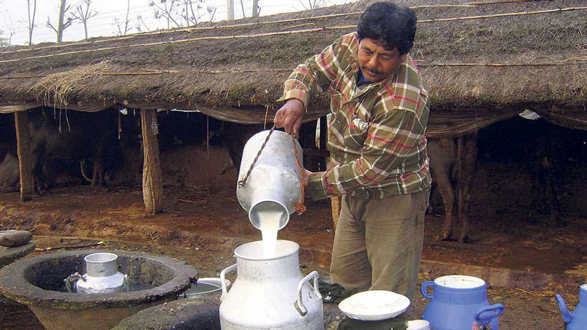 Nepal Dairy Association discusses solutions to milk-related problems