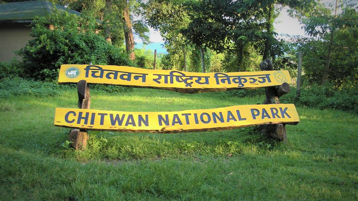 22 rhinos, three tigers die in 11 months in Chitwan National Park
