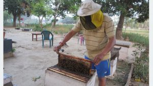 Local govt distributes beehives to Tanahun farmers