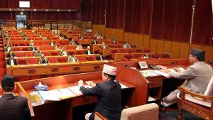 Upper House lawmakers show concerns over ‘vague’ words in budget