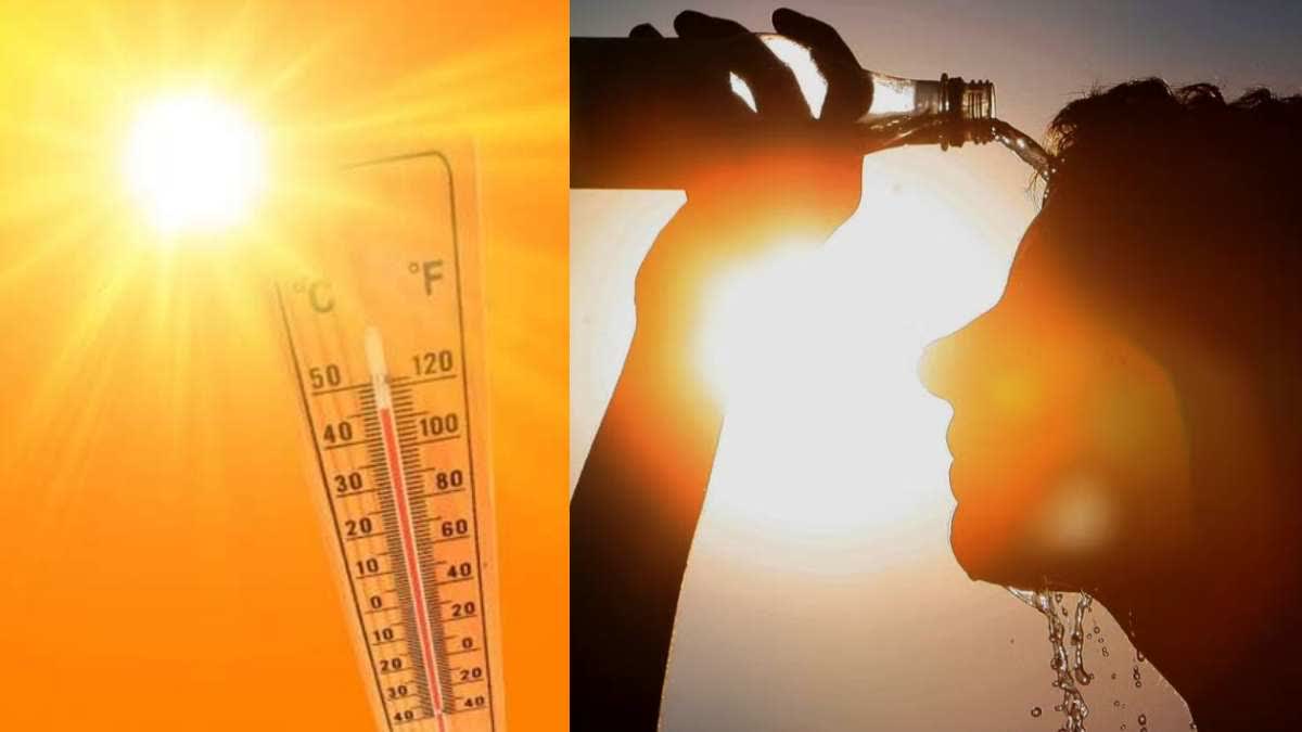 MFD urges people to take precautions during heat wave