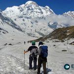 Tourist Influx Increases on Annapurna Trekking Route as Season Begins