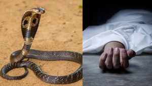 32-year-old dies of snakebite