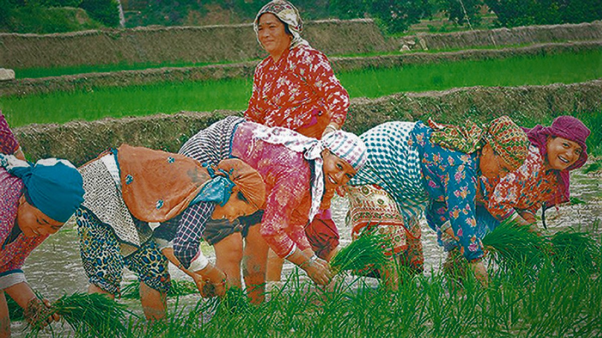 Women of Gorkha, Chitwan pursuing economic independence through farming