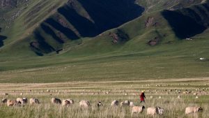 China Forcibly Seizes Tibetan Farmers’ Land To Build Hydropower Dam, Says Report