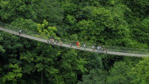 Nine suspension bridges constructed in Myagdi