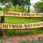 Chitwan National Park Witnesses Record Tourism Surge and Revenue Boost