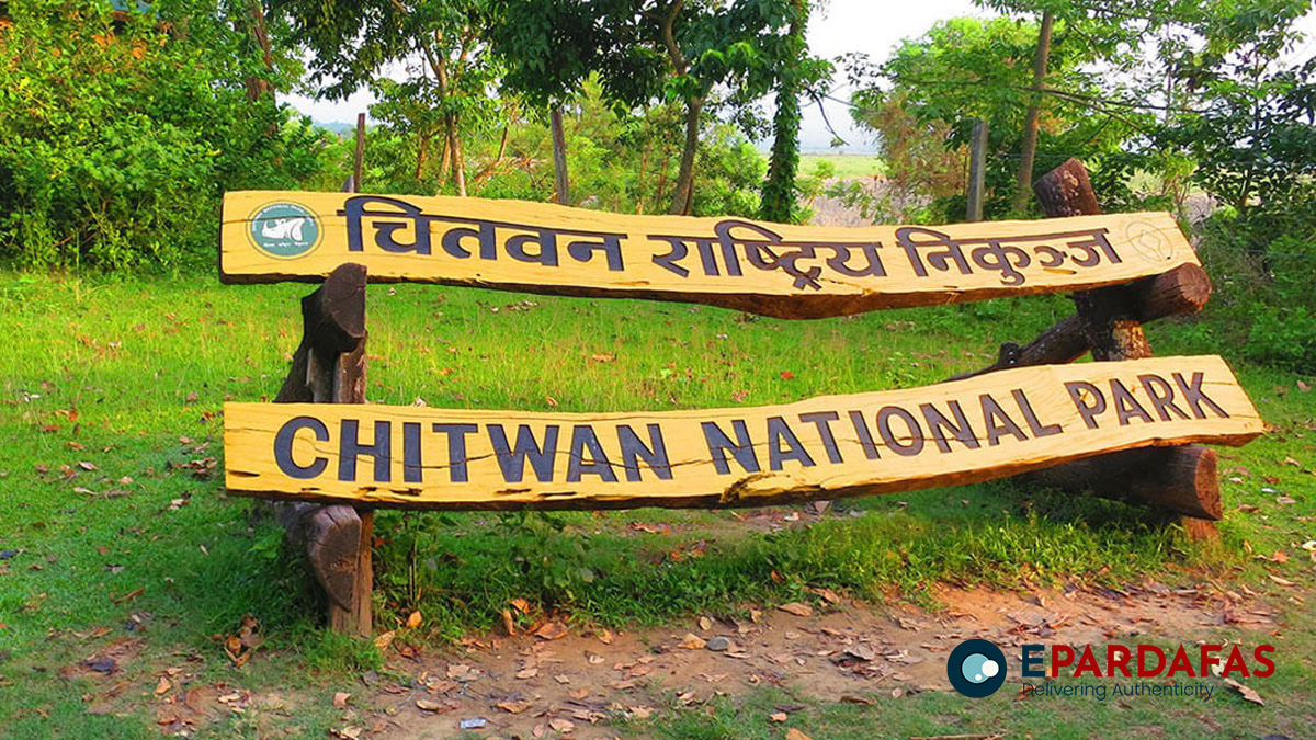 117 Wild Animals Found Dead in Chitwan National Park in a Year; Majority Succumbed to Natural Causes