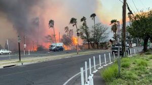 Raging Hawaii wildfires kill 36 people