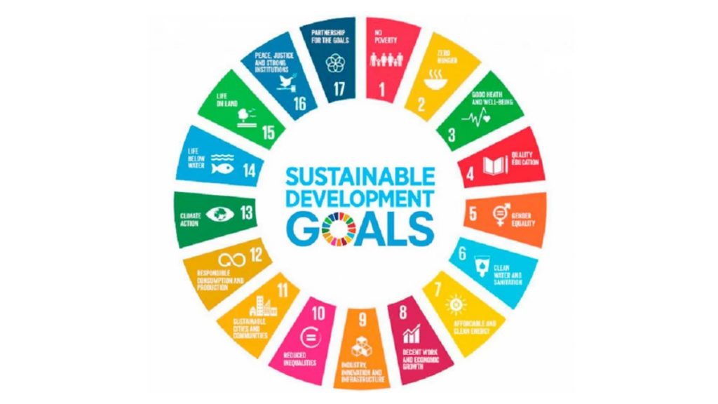 16th Periodic Plan to have dedicated chapter for SDGs - epardafas.com