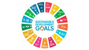 16th Periodic Plan to have dedicated chapter for SDGs
