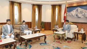 Speaker and National Assembly Chair call on President