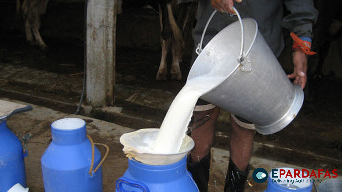 20,000 liters of milk purchased from Tarai