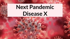 Explained: What Is Disease X That Can Cause Next Pandemic