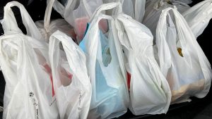 Kanchanpur district bans plastics