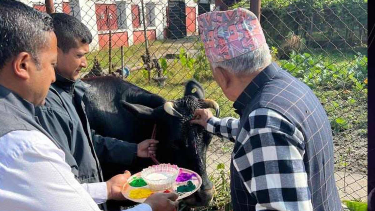 President Ramchandra Paudel Participates in Cow Worship on Tihar’s Third Day