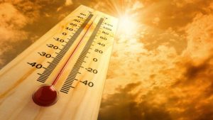 2023 Set to Be Hottest Year Ever