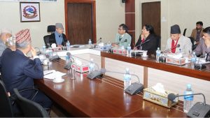 DPM Khadka discusses about 16th Periodic Plan with NPC officials